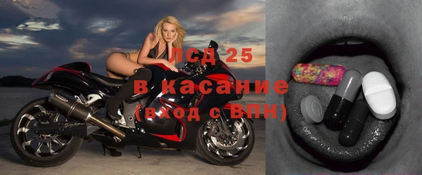 хмурый Алзамай