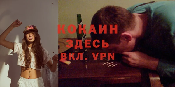 хмурый Алзамай
