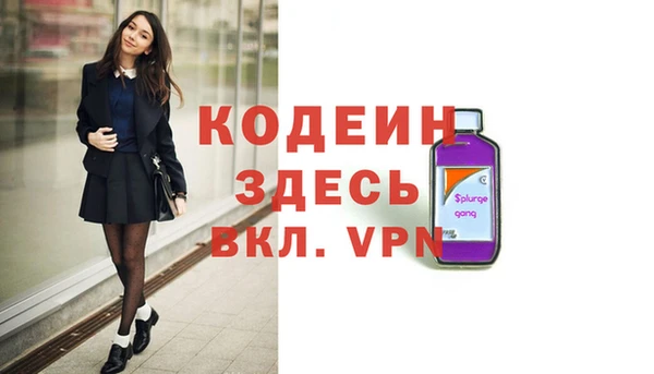 хмурый Алзамай