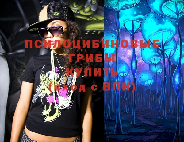 хмурый Алзамай