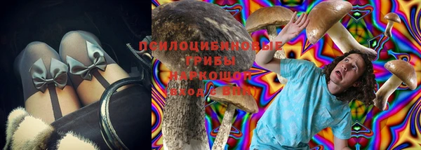хмурый Алзамай