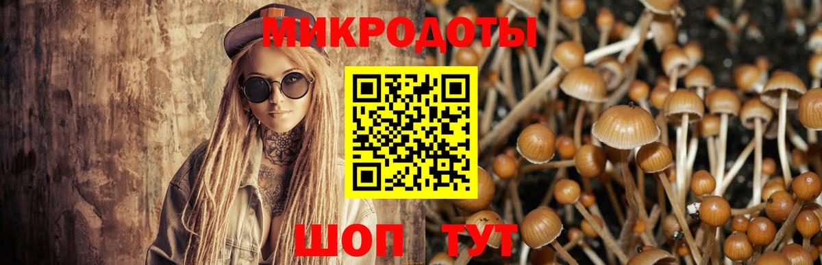 Галлюциногенные грибы Magic Shrooms  Галлюциногенные грибы GOLDEN TEACHER  Вход с VPN  наркошоп  Лесной 